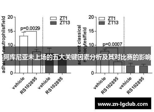 阿库尼亚未上场的五大关键因素分析及其对比赛的影响 阿库尼亚未上场的五大关键因素分析及其对比赛的影响